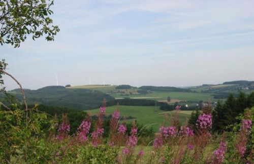 Haus 2 - Typ A (Appartement) - Foto 23