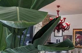 Villa Khaki - Foto 56