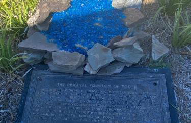 Florida condo close to Warm Mineral Springs - Foto 34