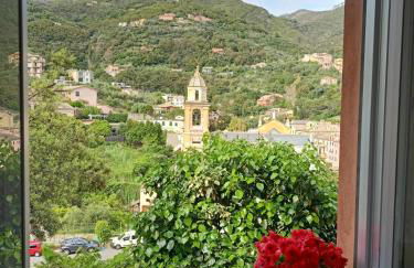 L' eden di Erasmo - Foto 40