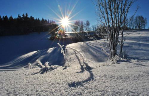 Ferienwohnung Familie Kappauf & Petrik - Foto 40