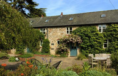 Little Underhill - Photo 12