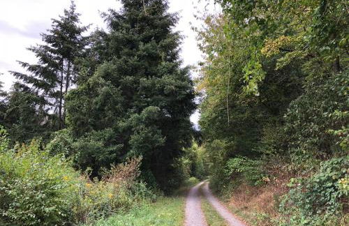 Ferienwohnung Weins - Foto 46