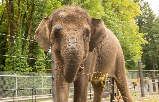 Inn at Northrup Station - Foto 32