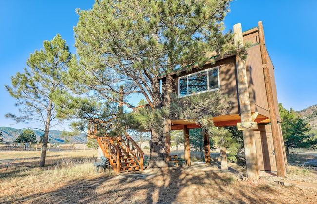 Tree Deer Blind - Foto 25