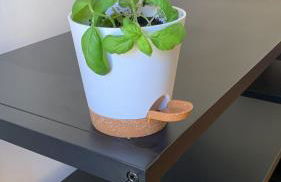 San Fabiano - Foto 67