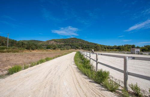 L’oliveraie Écuries Mas di Gau - Foto 27