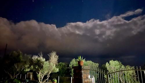 Trulli delle succulente - Foto 5