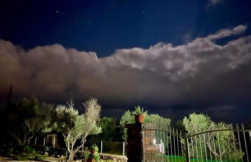 Trulli delle succulente - Foto 5