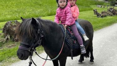 SEINZ Tiny House Natururlaub - Foto 3