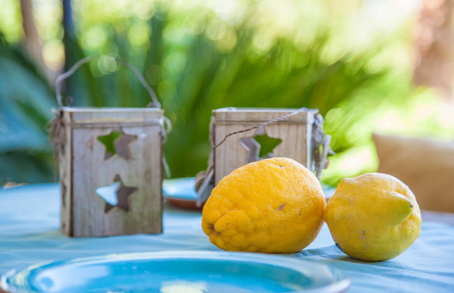 Can Pina - Adults Only Eco Arco - Photo 10