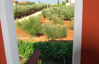 apartma Jelka - Foto 32