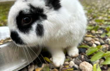 Ca Nova Agriturismo - Foto 51