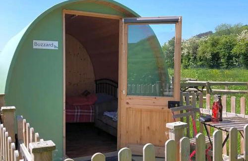 Green Dragon and Kitchen Pod - Sleeps 2 & Parking - Photo 5