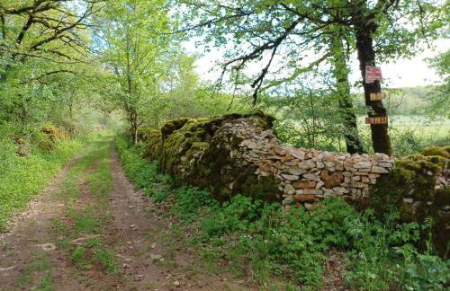 La petite maison du Bosc - Foto 12