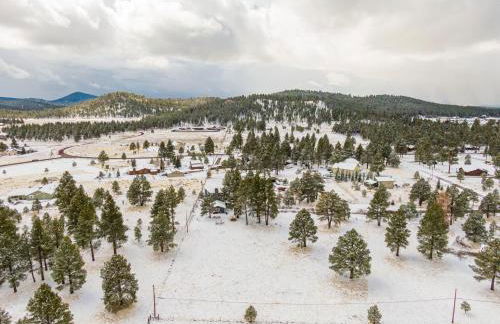 Wild Bill Retreat Treehouse Acre of Fun Near Grand Canyon Williams - Foto 57