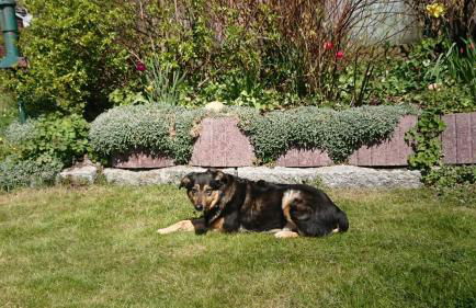Wohnung "Orther Hafen" in Bannesdorf auf Fehmarn - Foto 19