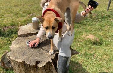 Stunning 2 Lodge Cottage retreat - Foto 29