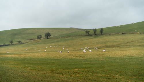 9 Riverside Walk - Foto 2