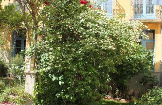 Les loges de la suite - Foto 27