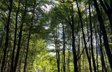 Studio aux pieds des pistes, des chemins de Rando - Foto 22