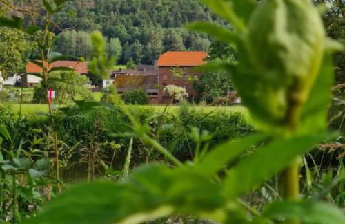 Lindenwohnung an historischer Mühle - Photo 13