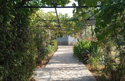Vicino al mare - Foto 32