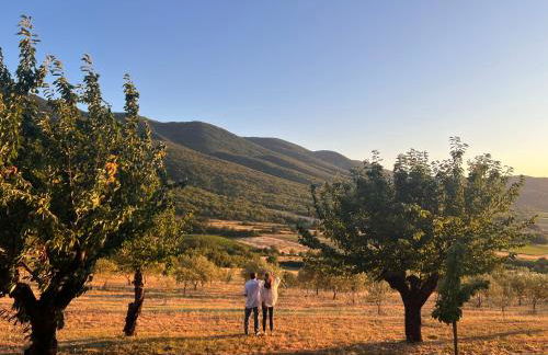 Le Grand Hermas - Foto 8