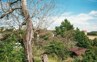 Haus Archaeopteryx – privater Außen-Pool – einzigartig im Naturpark - Foto 45