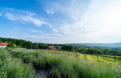 Domki Winne Tarasy - Foto 38