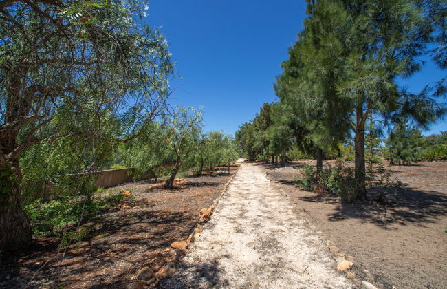 Quinta do Mosaico - Foto 26