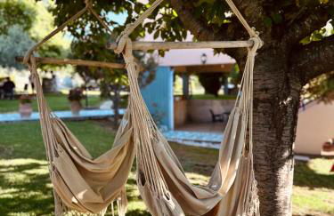 Viki Studios - Foto 11