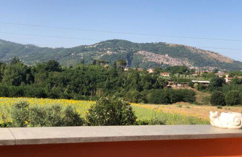 Dreams Valley - Foto 29