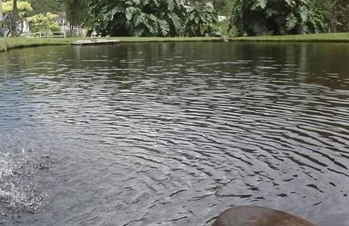 Chalé Portal Lazer Propriedade Inteira - Photo 45