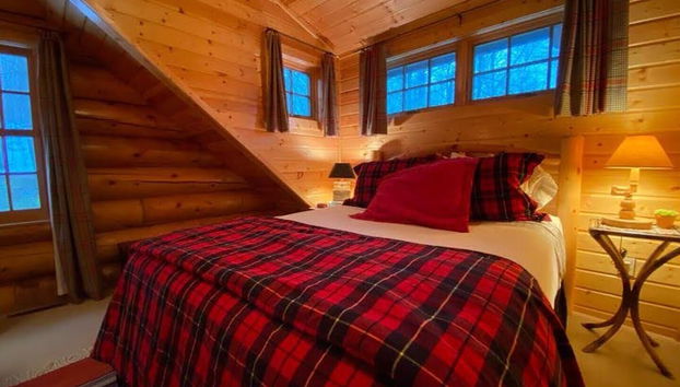 Grand View Log Cabin - Foto 5, Habitación