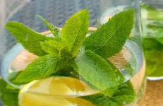 Houseboat SeeSea Mazury - Domek na wodzie Bogaczewo k Giżycka - Foto 25