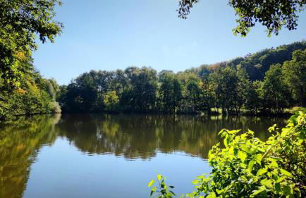 Ferienhaus Laange - Foto 24