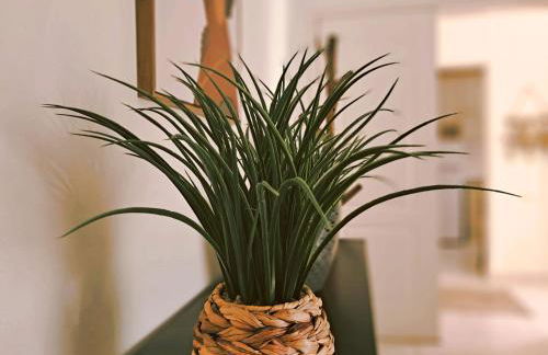 Apartamento Oásis Parque 2 - Foto 6