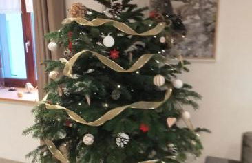 Aux balcons de la vallée - Foto 24