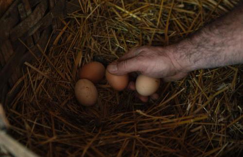 Villa Lolù - Photo 75