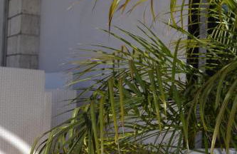 ENDLESS SUMMER APARTMENTS - Photo 8