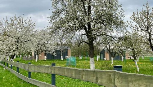 Princess Ślęża - Foto 3