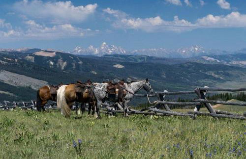 Charming Alpine Log Cabin for Family Vacation near Cora, Wyoming - Photo 12