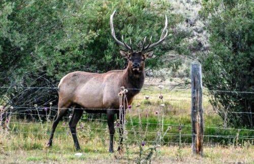 4412 Mackinaw - Foto 4