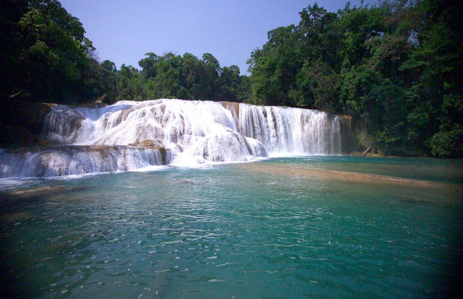 Agua Azul, Misol-ha and Palenque - Foto 4