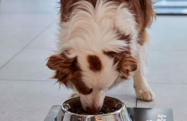 Aparthotel Adagio Access Brussels Delta - Photo 43