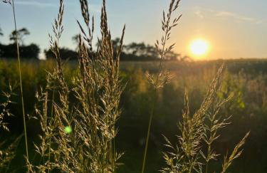 Naturerlebnis - Foto 28