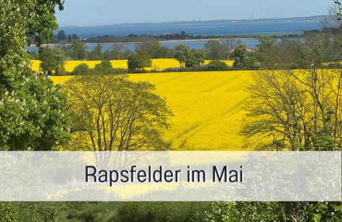 Moderne-Kate-Kiel Apartment Nabel - Foto 28