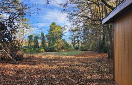 Atlanta Cabin Getaway! 4br, 11 Minutes to Downtown - Foto 60