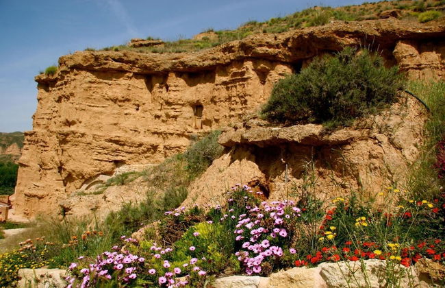 Cuevas Almagruz - Foto 30